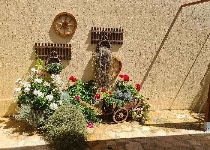 Sweet House 维拉西米乌斯